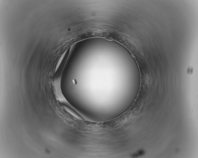 X0000091490914200709061857