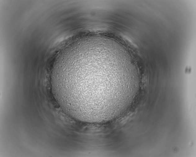 X0000091490917200709061857