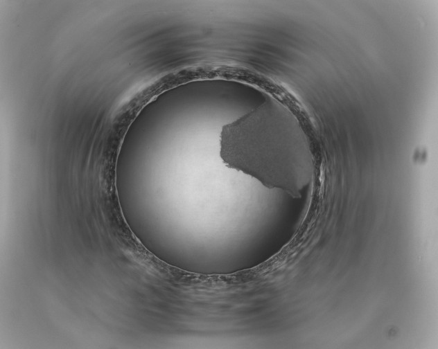 X0000091490919200709061857