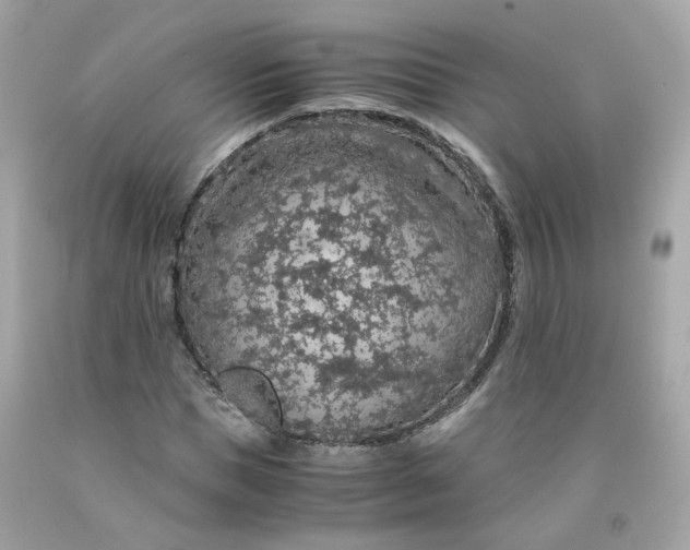 X0000091490921200709061857