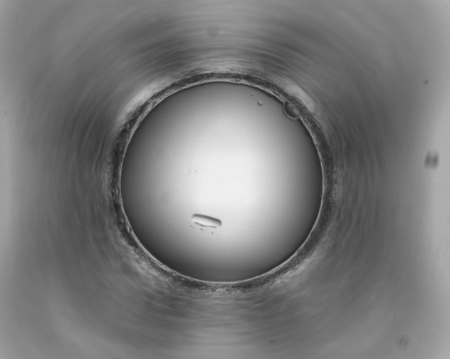 X0000091490922200709061857