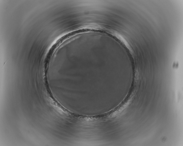 X0000091490923200709061857