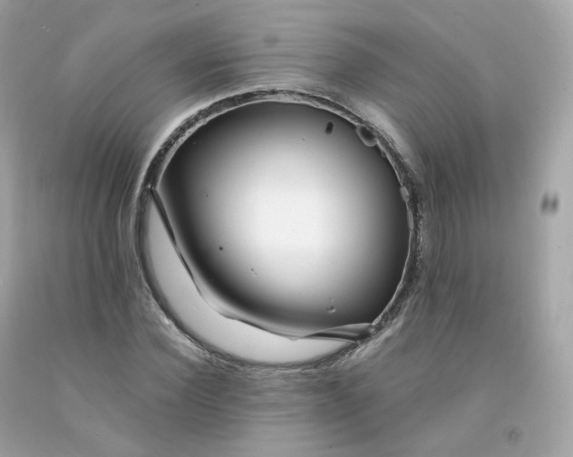 X0000091490924200709061857