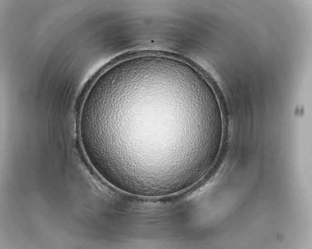 X0000091490925200709061857