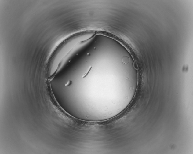 X0000091490926200709061857