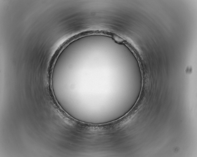 X0000091490927200709061857