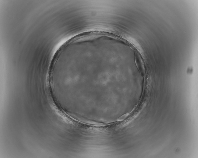 X0000091490928200709061857