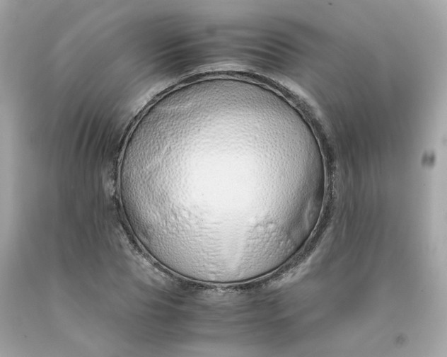 X0000091490929200709061857