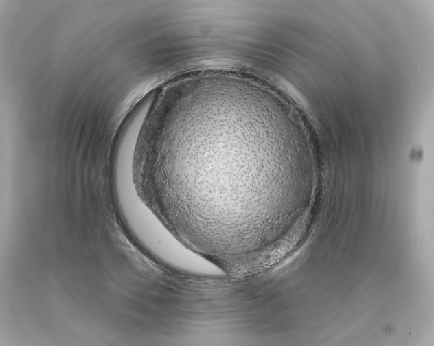 X0000091490930200709061857