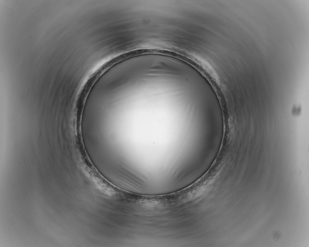 X0000091490931200709061858