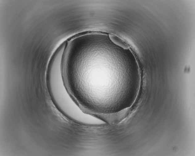 X0000091490932200709061858