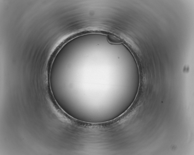 X0000091490934200709061858