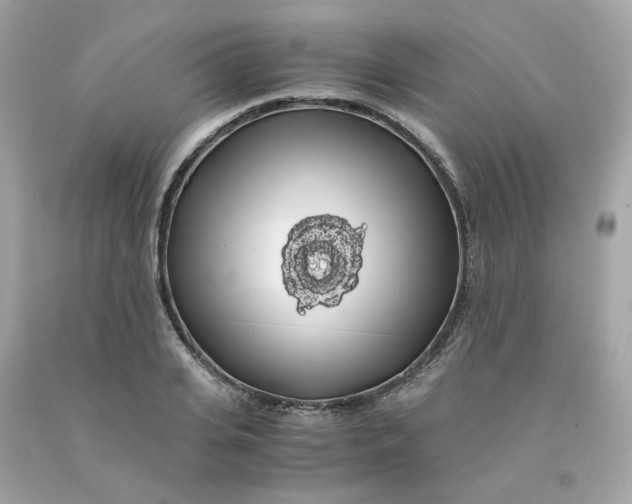 X0000091490935200709061858