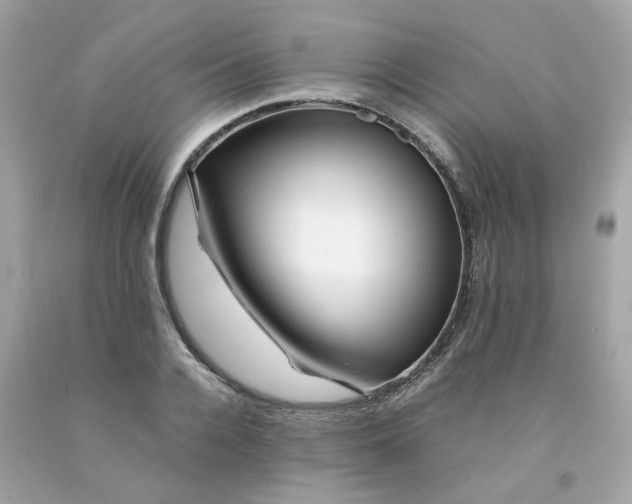 X0000091490936200709061858