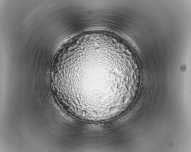 X0000091490937200709061858