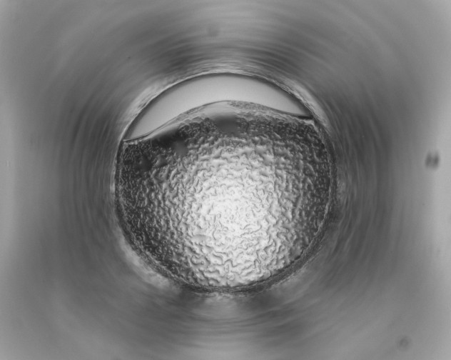 X0000091490938200709061858