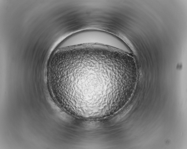 X0000091490939200709061858