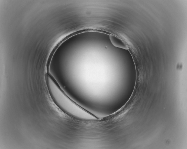 X0000091490940200709061858