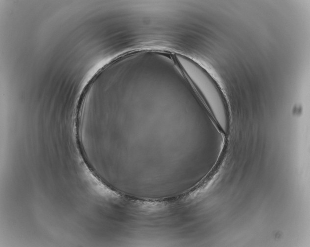 X0000091490941200709061858