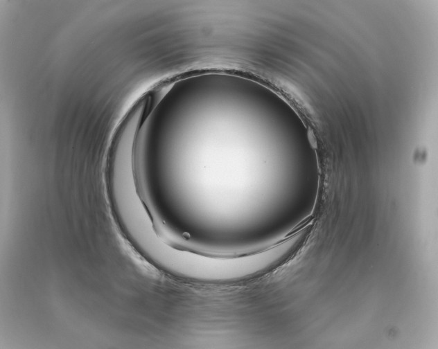 X0000091490942200709061858