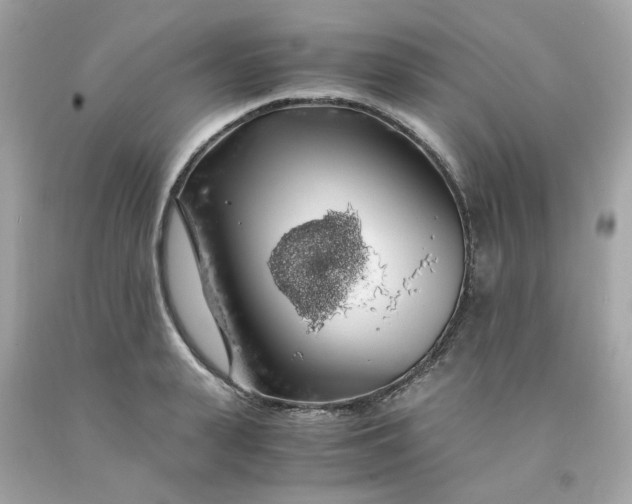 X0000091490943200709061858