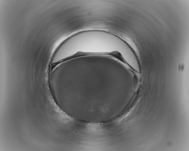 X0000091490944200709061858