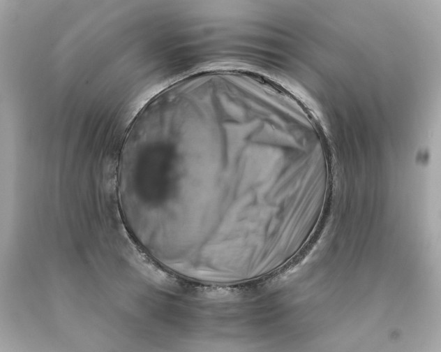 X0000091490945200709061858