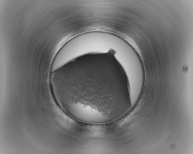 X0000091490946200709061858