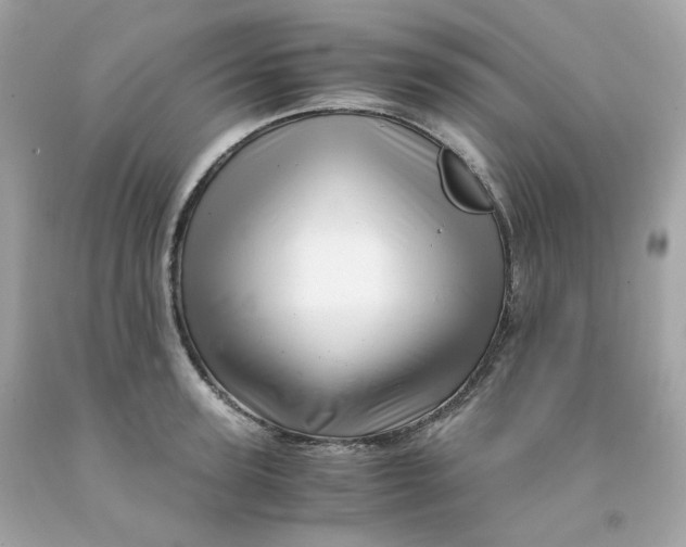 X0000091490947200709061858