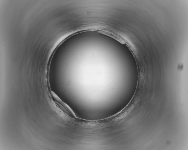 X0000091490948200709061858