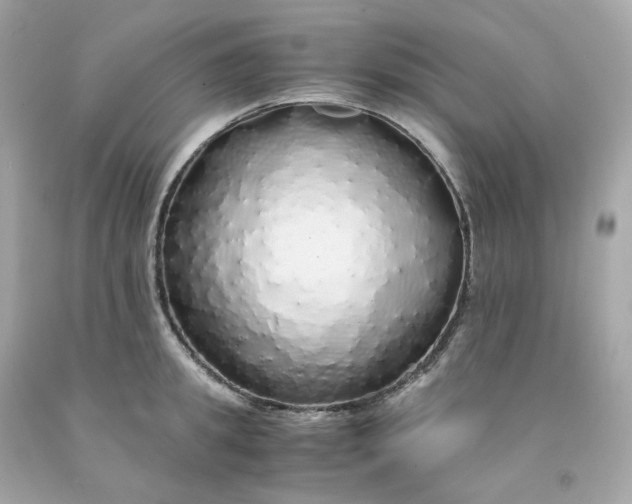 X0000091490949200709061858