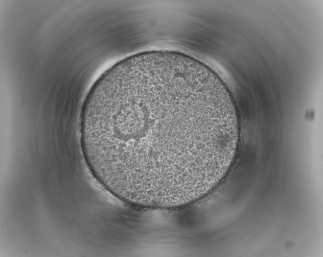 X0000091490950200709061858