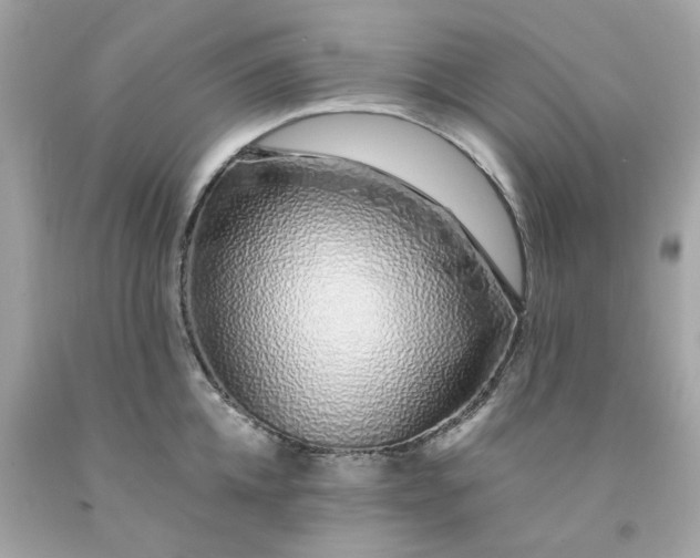 X0000091490952200709061858