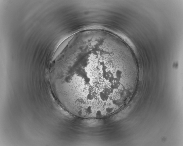 X0000091490953200709061858