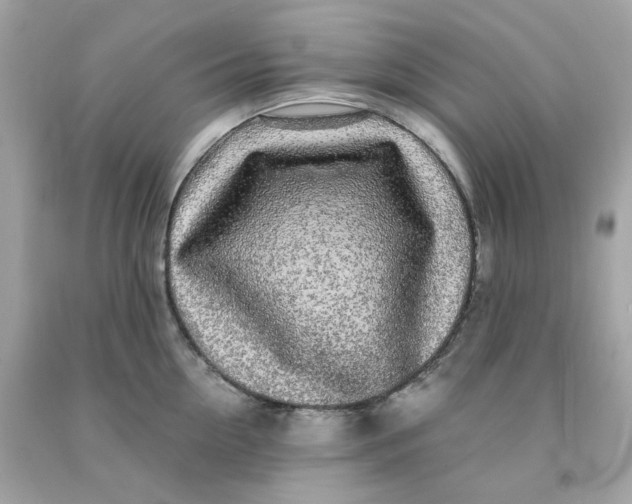 X0000091490954200709061858