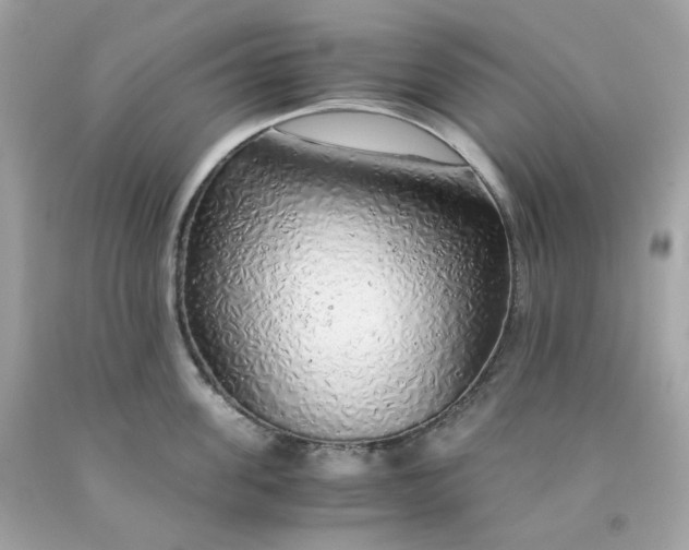 X0000091490955200709061858