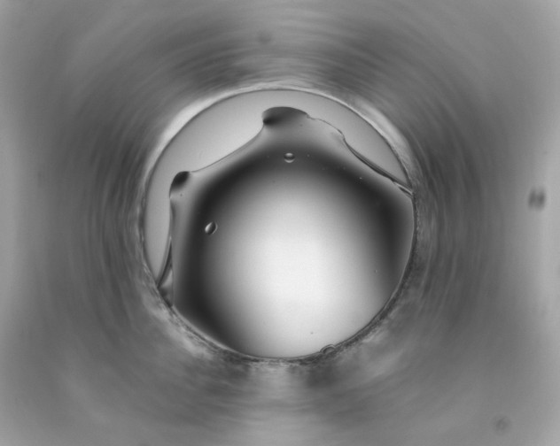 X0000091490956200709061858