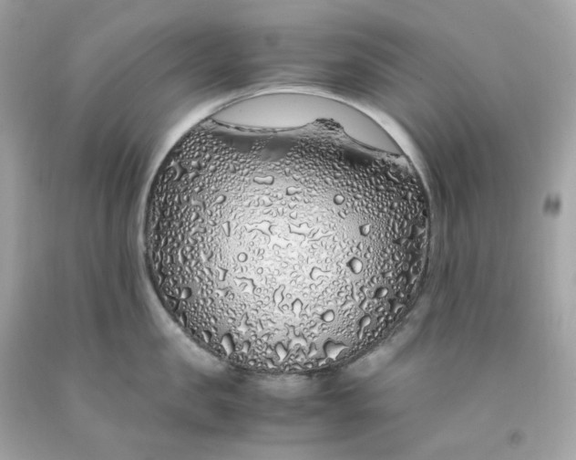 X0000091490957200709061858