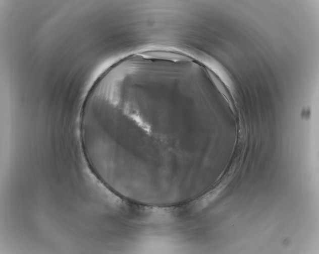 X0000091490958200709061858