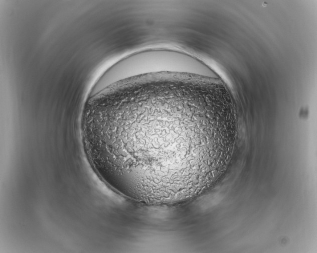 X0000091490959200709061858