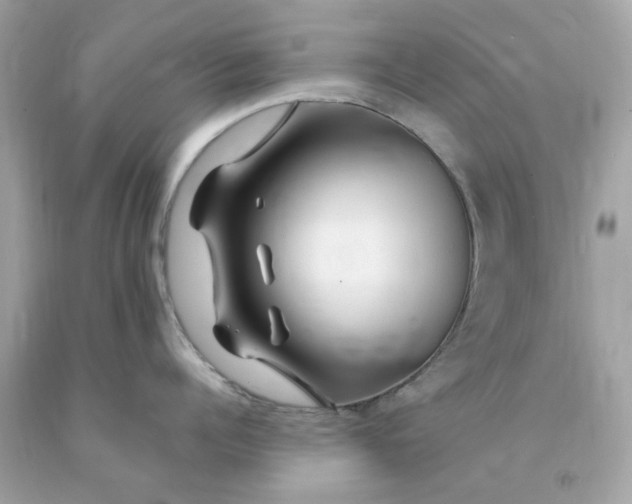 X0000091490960200709061858