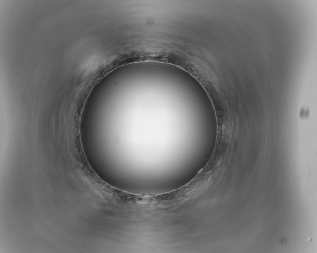 X0000091490961200709061857