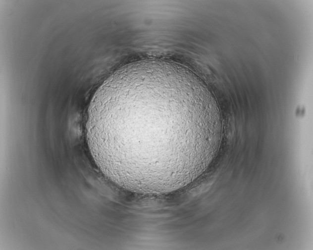 X0000091490962200709061857