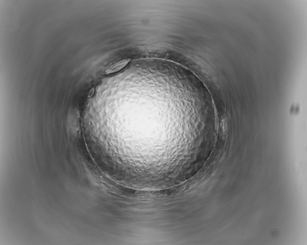 X0000091490963200709061857