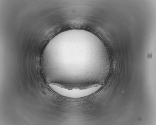 X0000091490964200709061857