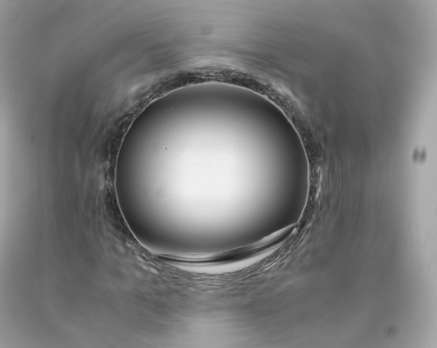 X0000091490965200709061857