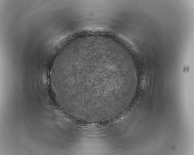 X0000091490966200709061857