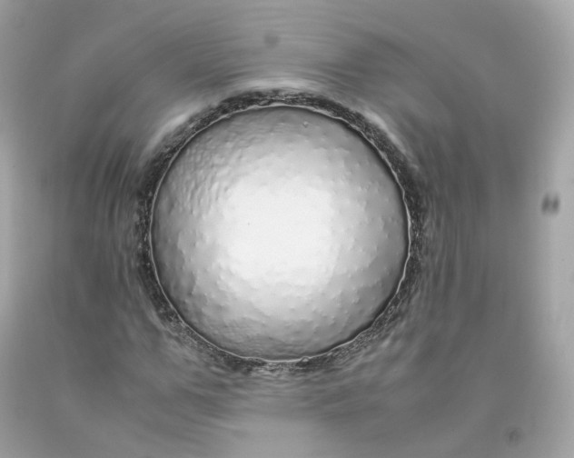 X0000091490967200709061857