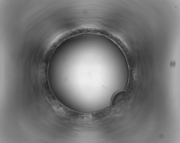 X0000091490968200709061857