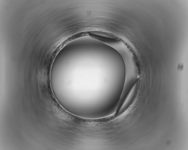 X0000091490969200709061857